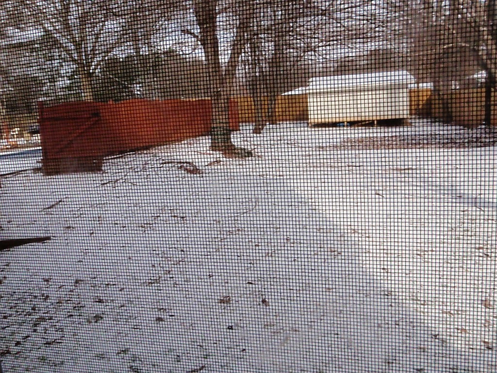 20100108_001828P1080011_