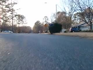 20100218_061945P2180002_