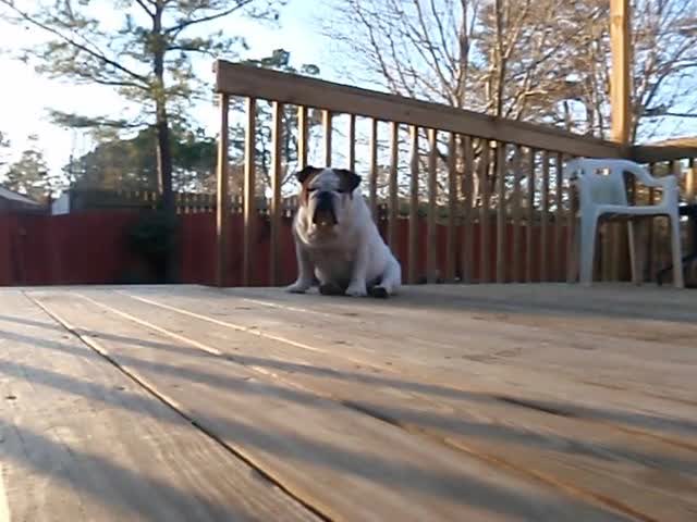 20100218_064047P2180005_