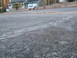 20100218_064840P2180012_