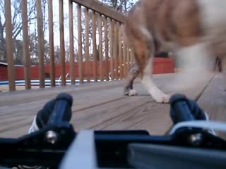 20100227_073516P2270025_