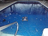 20100105_062340P1050009_.JPG
