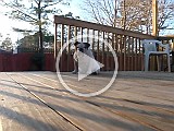 20100218_064047P2180005_.mp4