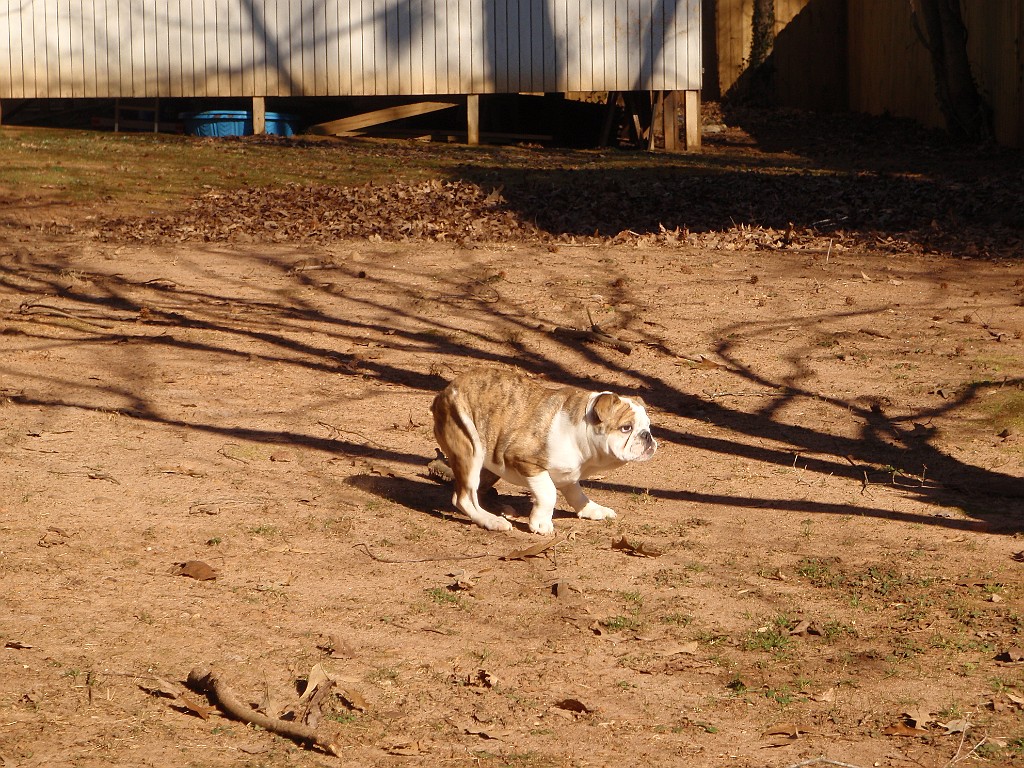 20100104_235657P1040005_