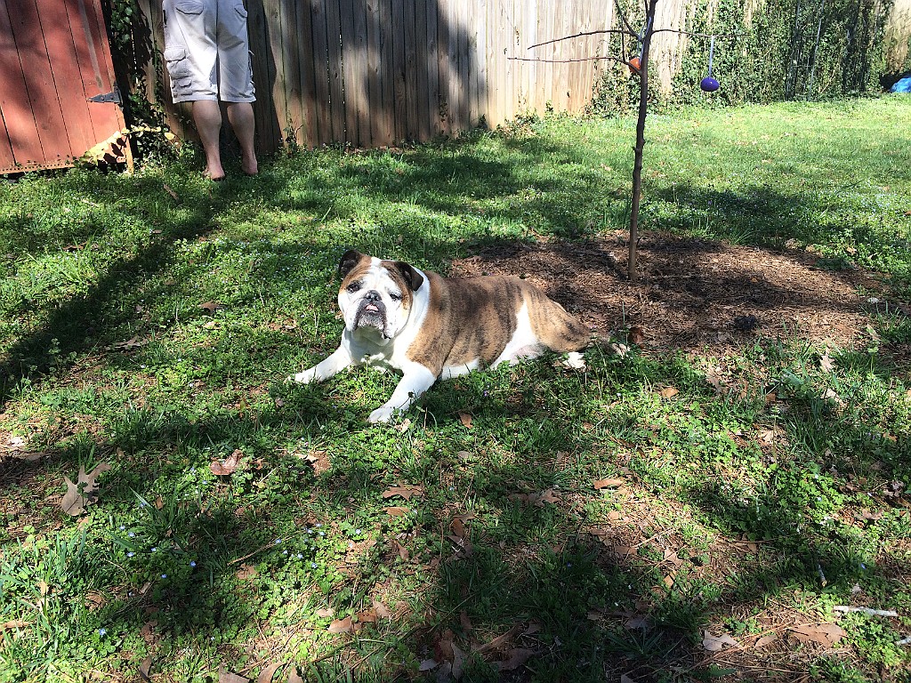 20150316_194851702_iOS