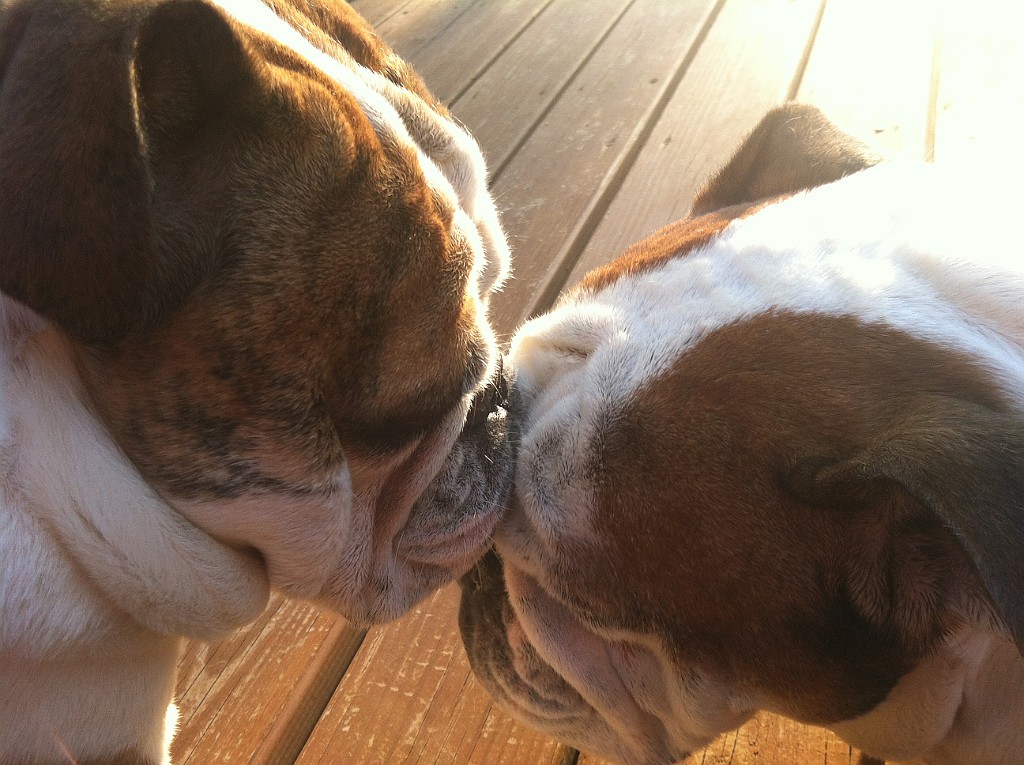 IPhone Pics 005