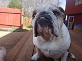 061.JPG