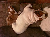 20091105_211558_.jpg