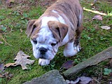 20091106_104111__01.JPG