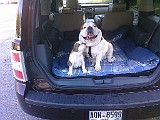 20091106_161012_.jpg