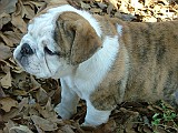 20091107_141044_.JPG
