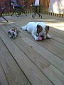 20091107_170026_.jpg