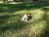 20091108_154905__01.JPG