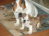 20091111_113211_.JPG