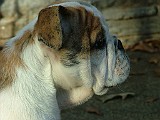 20091113_155129_.JPG