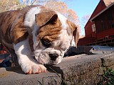 20091115_041102_.JPG