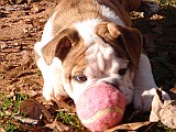 20091115_041243_.JPG