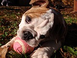20091115_041327_.JPG