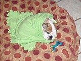 20091116_202756_.JPG