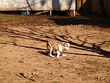 20100104_235657P1040005_.JPG