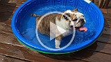 20150816_195924365_iOS.mp4