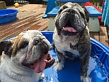 20150816_200017164_iOS.jpg