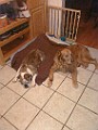 CIMG0137 (1).jpg