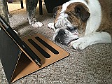 IMG_0619.JPG