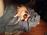 IMG_1171.JPG
