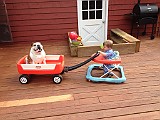 IMG_1733.JPG