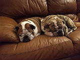 IMG_1905.JPG