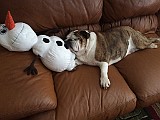 IMG_3090.JPG