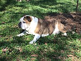 IMG_3123.JPG