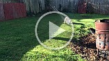 IMG_3244.mp4