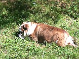 IPhone Pics 001.JPG