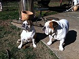 IPhone Pics 003.JPG