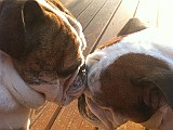 IPhone Pics 005.JPG
