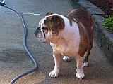 IPhone Pics 007.JPG