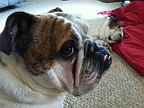 IPhone Pics 008.JPG