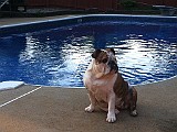 IPhone Pics 010.JPG
