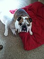 IPhone Pics 011 (2).JPG