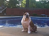 IPhone Pics 011.JPG