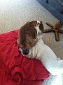 IPhone Pics 012.JPG