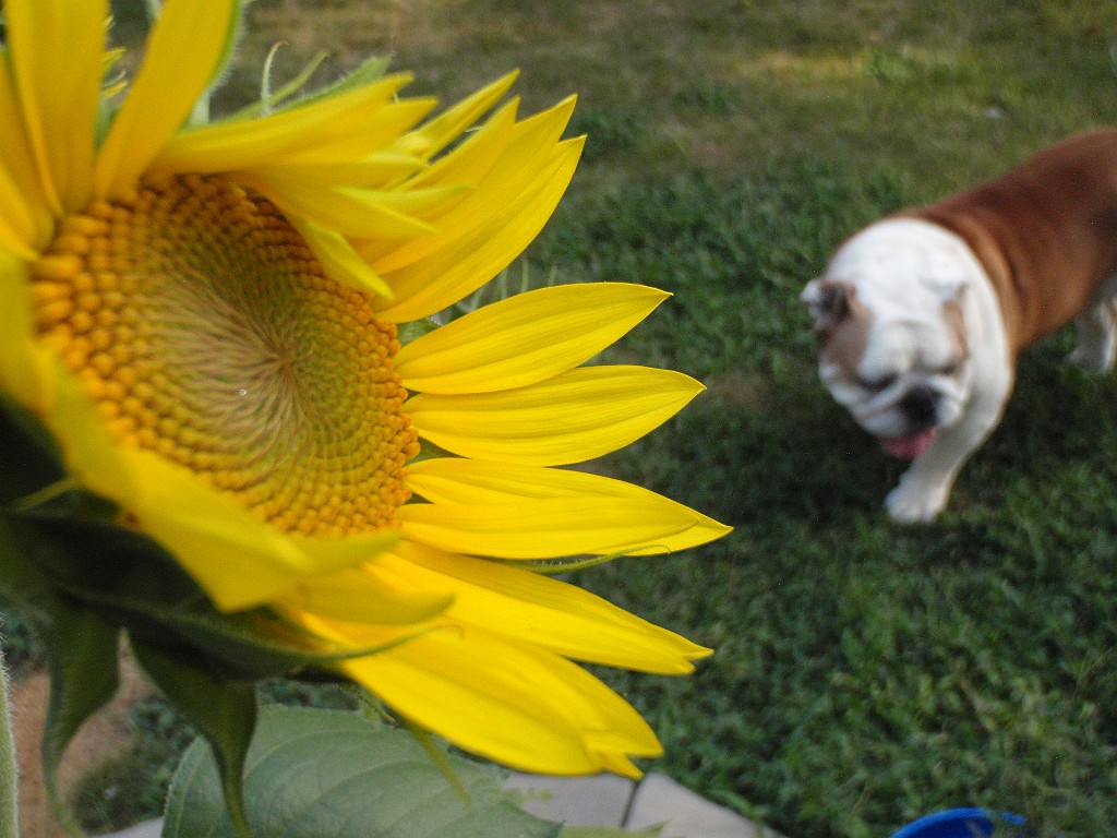 20090714_087