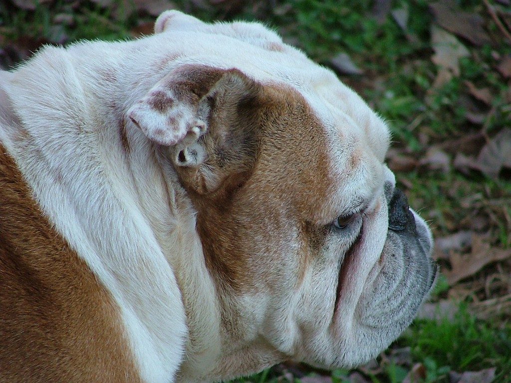 6-26-2009 001