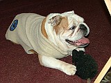 20090116_019.JPG