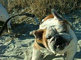 20090213_303.JPG
