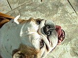 20090215_398.JPG