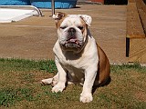 20090710_017_01.JPG