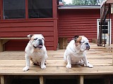 20090710_028.JPG